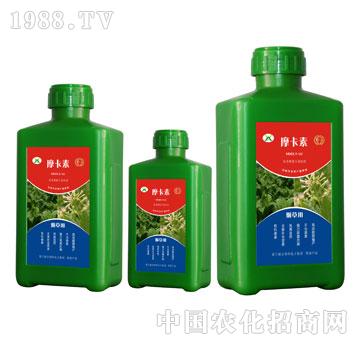 ���݌��ð���������Һ��