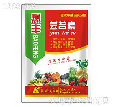 ���S�|̦��-�P���