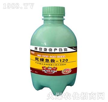 ���ü���-120-�o(h��)�r(n��ng)