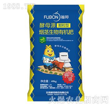 ���o�����ЙC(j��)��-����w����-����