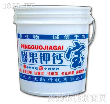 �����}��-�Ŷ�-�ذ�