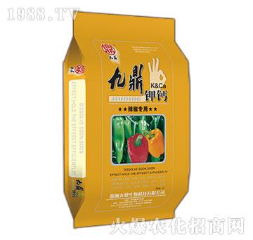 �������þŶ���}-�ذ�