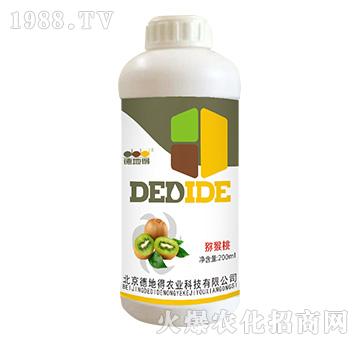 �J���Ҍ�(zhu��n)��-�µص�