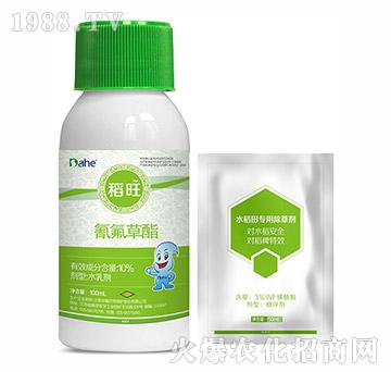 10%�������-����-