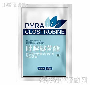 吡唑醚菌酯-遠(yuǎn)見農(nóng)業(yè)