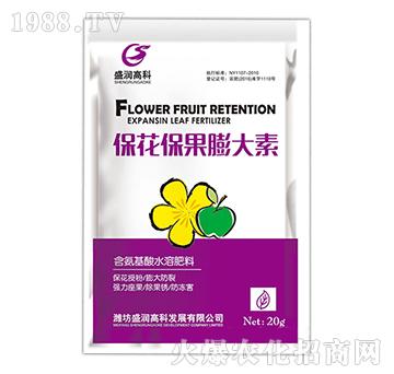 �������������-ʢ���߿�