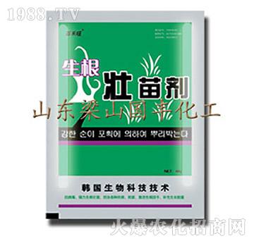 �������焩-��ɽ���S