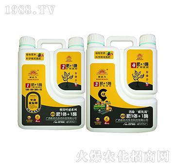 ֲ��I(y��ng)�B(y��ng)�������~ʢ��-