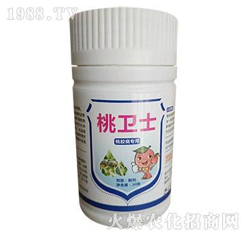 ���z����(zhu��n)��-���l(w��i)ʿ-�Z������