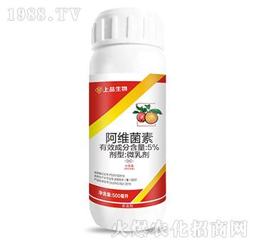 ���S����-�A������