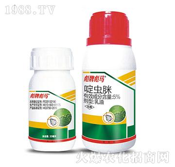 5%��x(ch��ng)��-���Ʊ��R-�A������