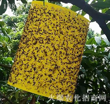 ճ�x(ch��ng)��-�����S