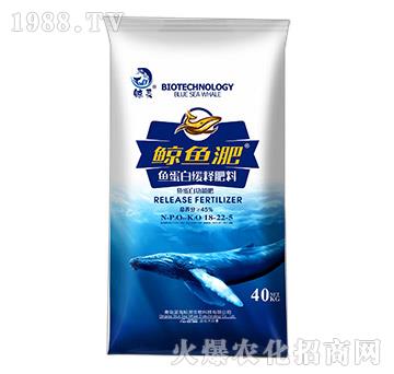 �~���׾�ጷ���18-2