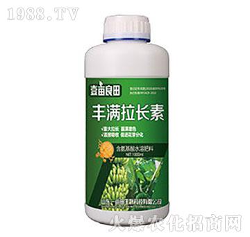 �S�M(m��n)���L(zh��ng)��-Ҽ������