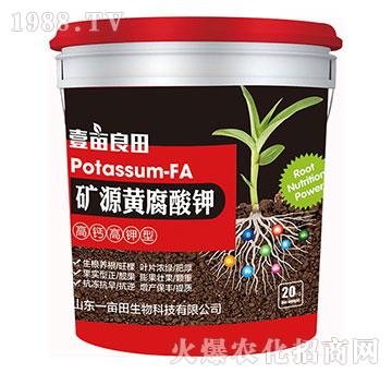 �VԴ�S����⛣�20kg��-Ҽ������