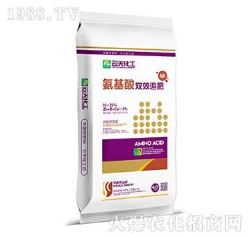 �����͵���-�������pЧ׷��-���컯��