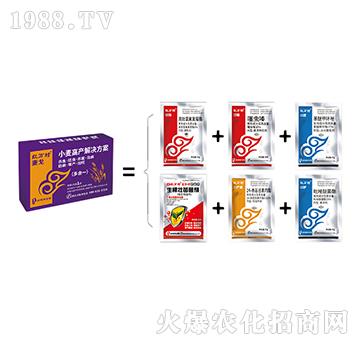 С��һ������-����M��-���˹����r��