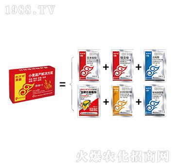 С��һ������-���ԽM��-���˹����r(n��ng)��