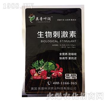 ����̼���-Ӣ���~��