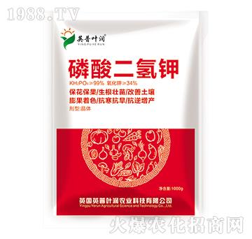 ��������-Ӣ���~��(r��n)