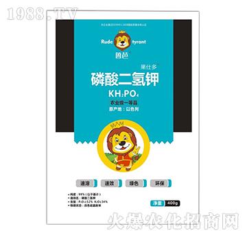 400����������-���˶�-����-��������