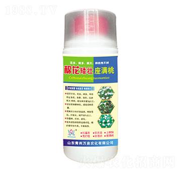 �޻��������M��-�fȪ�r��