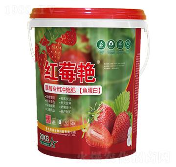 草莓專(zhuān)用沖施肥（魚(yú)蛋白）-紅莓艷-斯諾生物