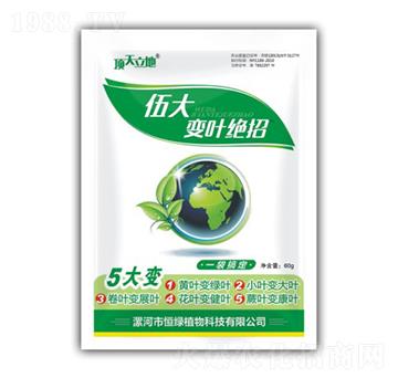 伍大變?nèi)~絕招-頂天立地-恒綠植物