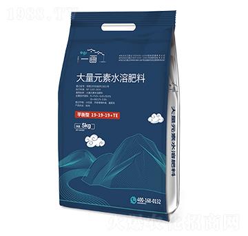 平衡型大量元素水溶肥料19-19-19+TE-一畫農業(yè)