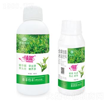 含腐殖酸水溶肥料-植能-賽菲格萊