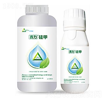 ِ�����-�����Ƽ�