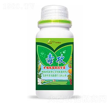 ����-�����Ƽ�