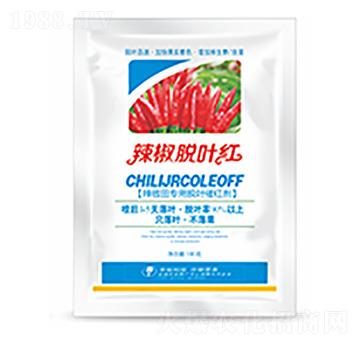 ����Ó�~�t-�����Ƽ�