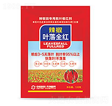 �����~��ȫ�t-�����Ƽ�