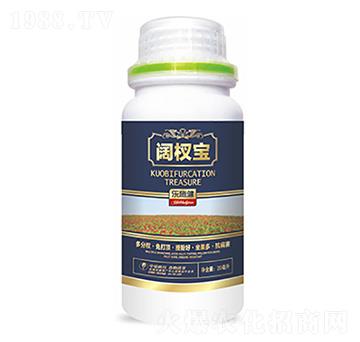 �辌�-�����Ƽ�