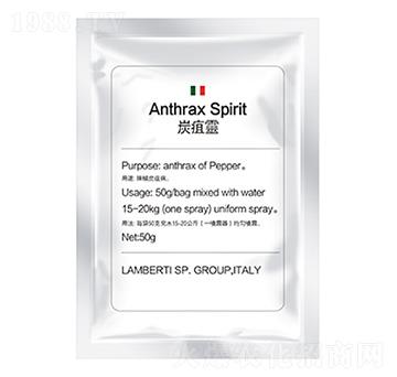 ̿���`-�����Ƽ�