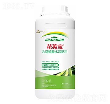 �󶹻�Ӣ��-�����Ƽ�