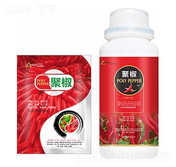 �۽�-�����Ƽ�