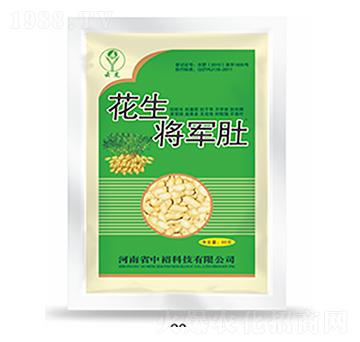 ������܊��-�����Ƽ�