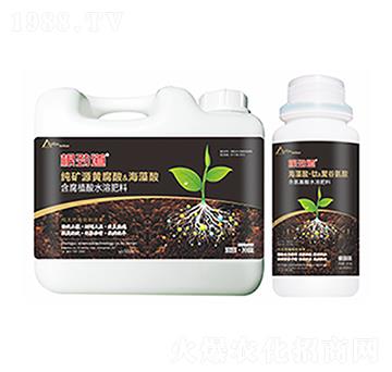 ���ŵ�-�����Ƽ�