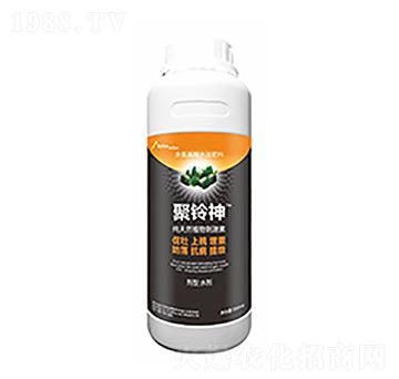 �����-�����Ƽ�