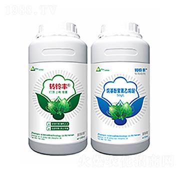 �D(zhu��n)��S+����Ӿ�����ϩ