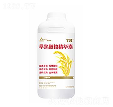 ����������A��-������