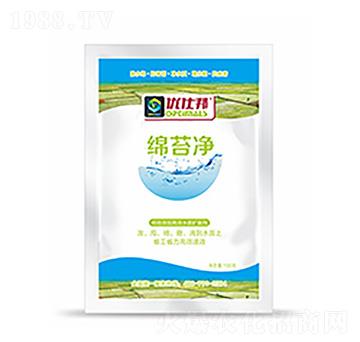 �d̦��-��ԣ�Ƽ�