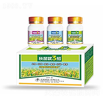 �����3��-�����Ƽ�