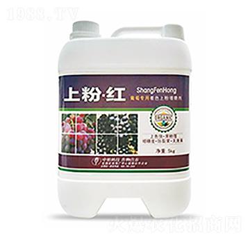 �Ϸۡ��t-�����Ƽ�