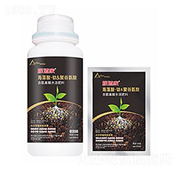 ������-�����Ƽ�