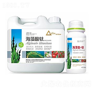 �������-�����Ƽ�