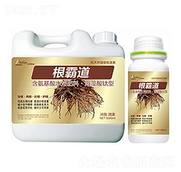 ���Ե�-�����Ƽ�