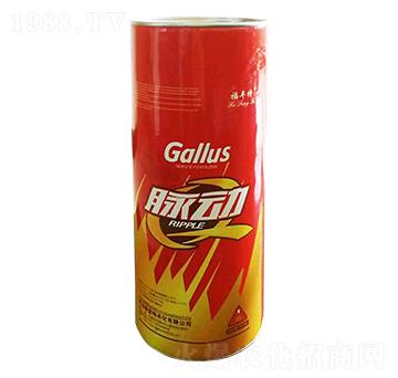 �VԴ�S�����-�}��-�������r(n��ng)��